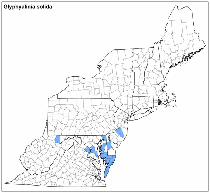 Glyphyalinia solida Range Map
